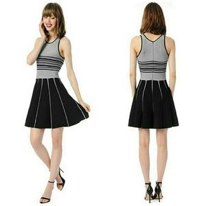 NWOT Parker Nia Knit Stripe Black Dress
